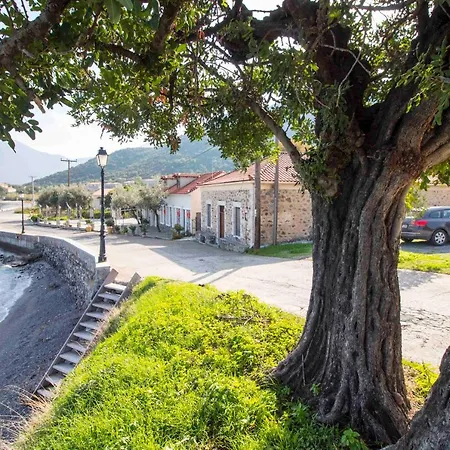 Διαμέρισμα Liotrivi House